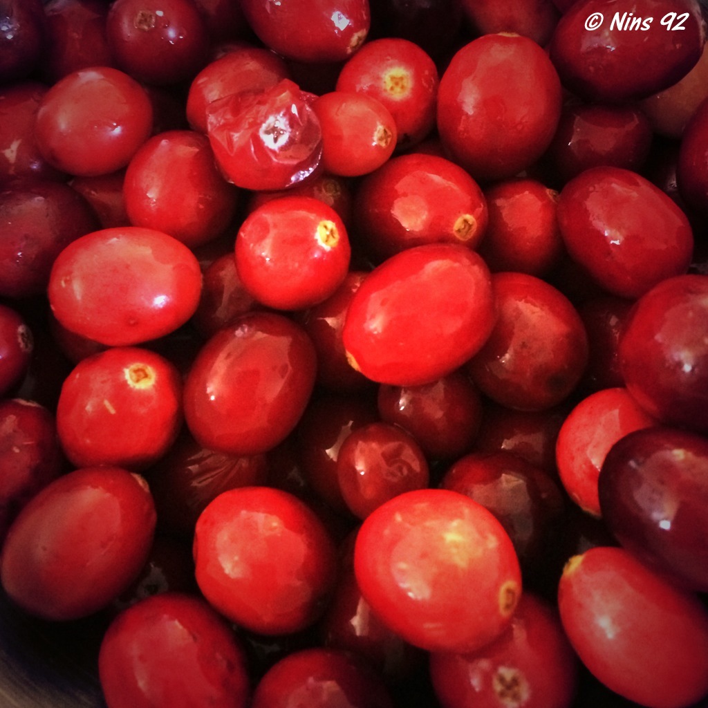 cranberries (2)